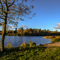 Buy canvas prints of Autumn By The Lake by Ian Lewis