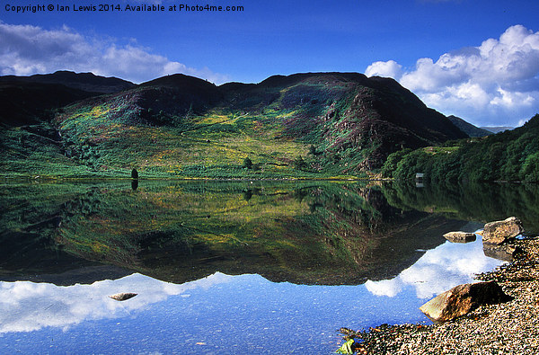 Llyn Dinas Reflections Picture Board by Ian Lewis