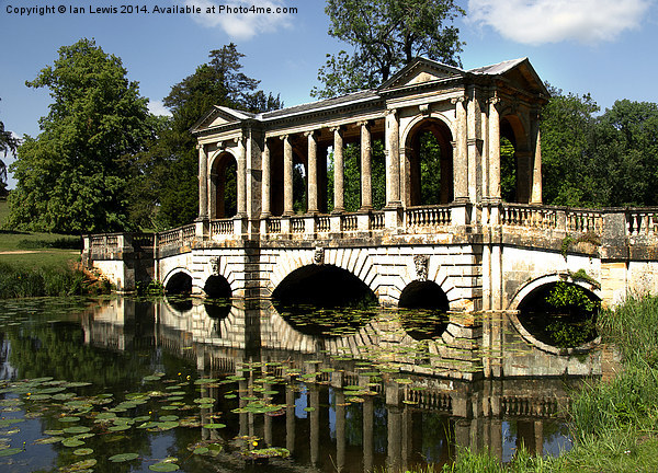 The Palladian Bridge at Stowe Picture Board by Ian Lewis