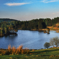 Buy canvas prints of Tarn Hows by Ian Lewis