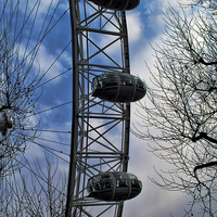 Buy canvas prints of London Eye Through the Trees by Ian Lewis