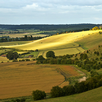 Buy canvas prints of View Over The Valley by Ian Lewis