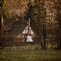 Buy canvas prints of Cottage in the Woods by Ian Lewis