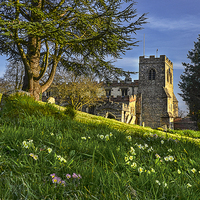 Buy canvas prints of Ewelme Church and Primroses by Ian Lewis