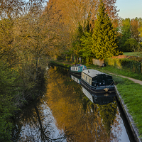 Buy canvas prints of The Kennet and Avon near Aldermaston by Ian Lewis