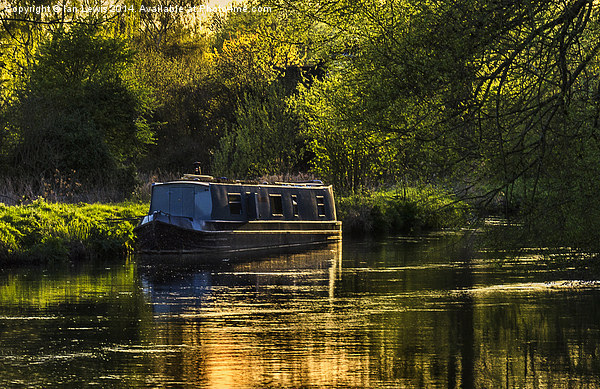 Evening on the Kennet Picture Board by Ian Lewis
