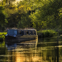 Buy canvas prints of Evening on the Kennet by Ian Lewis