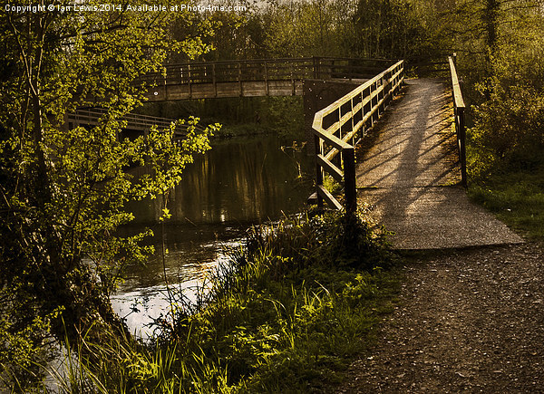 Footbridge over the Kennet Picture Board by Ian Lewis