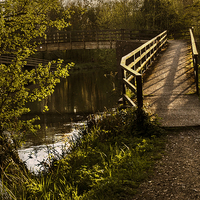 Buy canvas prints of Footbridge over the Kennet by Ian Lewis