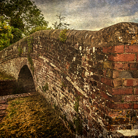 Buy canvas prints of Enborne Canal Bridge Near Newbury by Ian Lewis