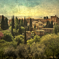 Buy canvas prints of  The Alhambra Granada by Ian Lewis