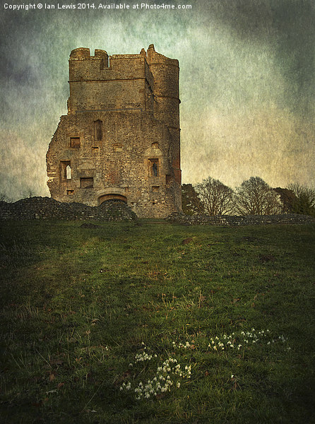  Donnington Castle Gatehouse Picture Board by Ian Lewis