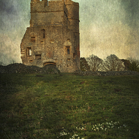 Buy canvas prints of  Donnington Castle Gatehouse by Ian Lewis