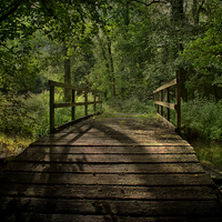 Buy canvas prints of  Bridge Over The Woodland River by Ian Lewis