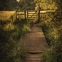 Buy canvas prints of  Gate into The Meadow by Ian Lewis