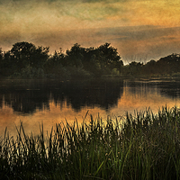 Buy canvas prints of  Evening Light  by Ian Lewis