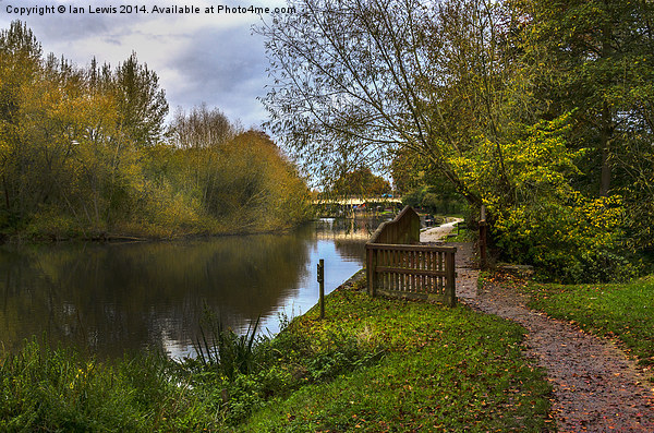  Thames Path Through Goring Picture Board by Ian Lewis
