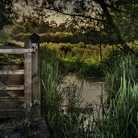 Buy canvas prints of  Footpath Gate Streatley-on-Thames by Ian Lewis
