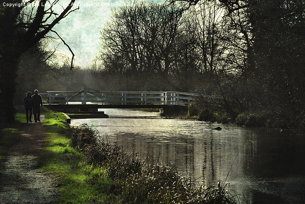  Late Afternoon By The Kennet Picture Board by Ian Lewis