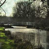 Buy canvas prints of  Late Afternoon By The Kennet by Ian Lewis