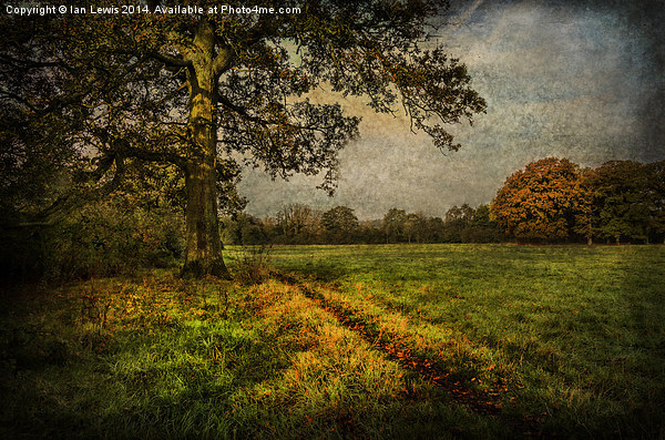 Tranquil Autumnal Pathway Picture Board by Ian Lewis