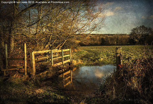 The Path to Sulham  Picture Board by Ian Lewis