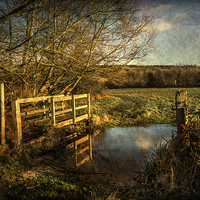 Buy canvas prints of The Path to Sulham  by Ian Lewis