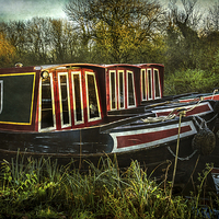 Buy canvas prints of  The End Of The Season by Ian Lewis