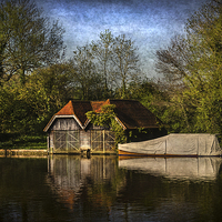 Buy canvas prints of  Boat Houses on the River Thames by Ian Lewis