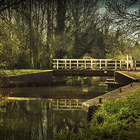 Buy canvas prints of Late Afternoon On The Kennet by Ian Lewis