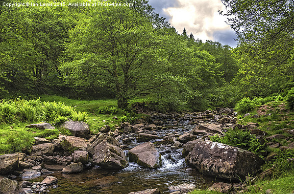  Caerfanell River Above Talybont Picture Board by Ian Lewis