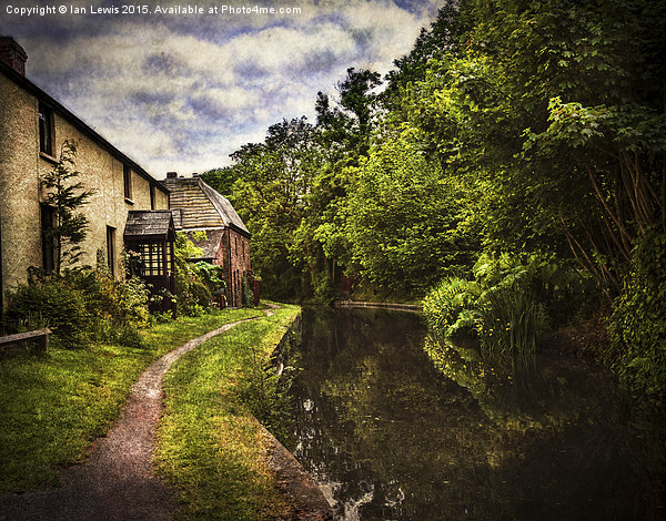  The Towpath At Talybont Picture Board by Ian Lewis