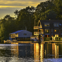 Buy canvas prints of Boat Houses at Caversham by Ian Lewis
