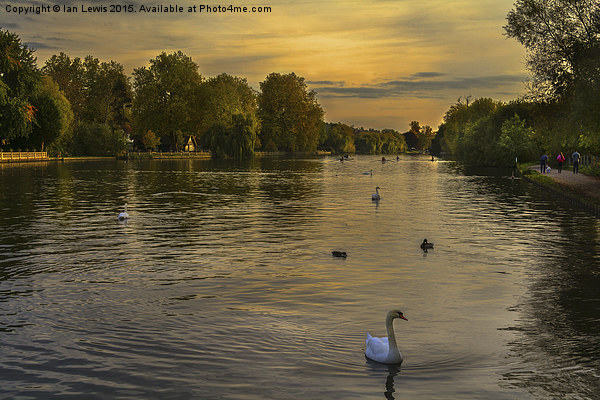  Thames Sunset Picture Board by Ian Lewis