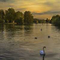 Buy canvas prints of  Thames Sunset by Ian Lewis