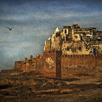 Buy canvas prints of  Essaouira  by Ian Lewis