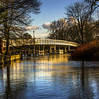 Buy canvas prints of Toll Bridge Whitchurch on Thames by Ian Lewis
