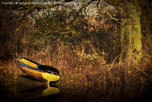 Yellow Rowing Boat Picture Board by Ian Lewis