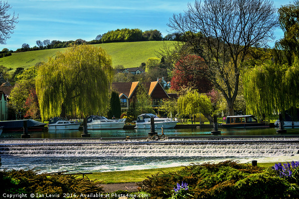 Across The Thames To Streatley Picture Board by Ian Lewis
