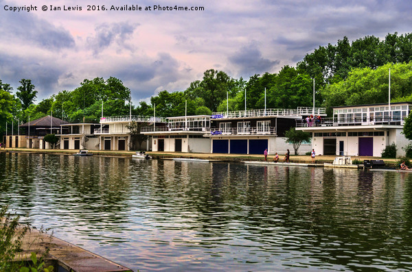 Oxford University Boathouses Picture Board by Ian Lewis