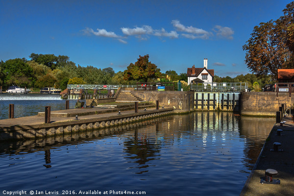 Autumn At Goring Lock Picture Board by Ian Lewis