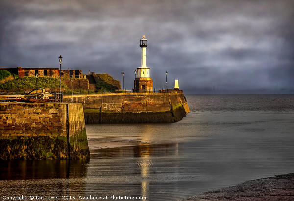 Early Morning At Maryport Harbour Picture Board by Ian Lewis