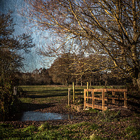 Buy canvas prints of The Path To Tidmarsh by Ian Lewis