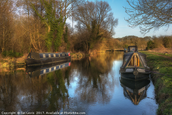 Narrow Boats At Woolhampton Picture Board by Ian Lewis