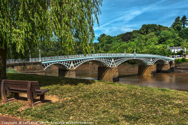 A Riverside Seat At Chepstow Picture Board by Ian Lewis
