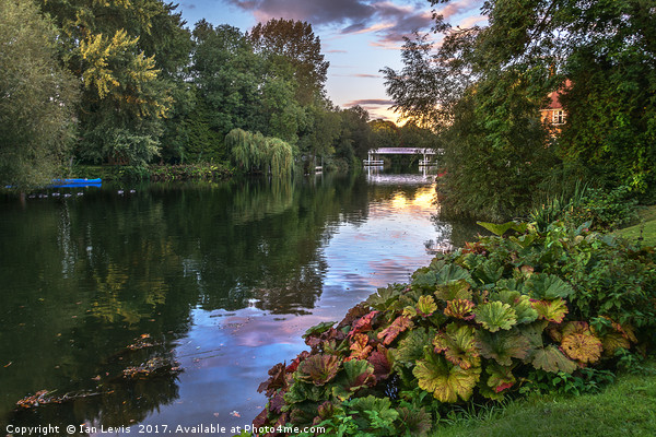 The Thames At Pangbourne Picture Board by Ian Lewis