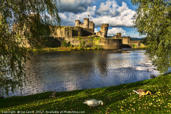 Late Afternoon At Caerphilly Castle Picture Board by Ian Lewis