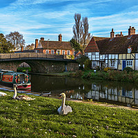 Buy canvas prints of The Swan Family Visiting Hungerford by Ian Lewis