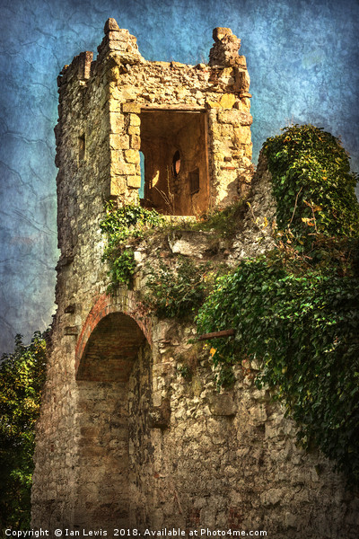 Turret at Wallingford Castle Picture Board by Ian Lewis