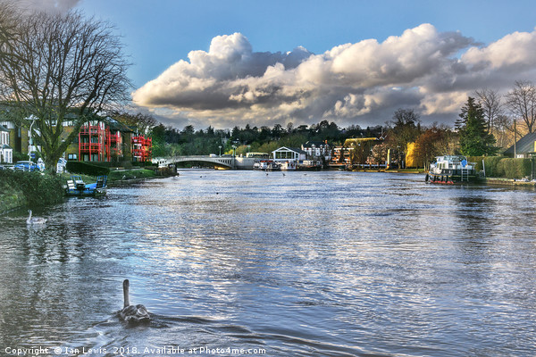 The River Thames at Reading Picture Board by Ian Lewis